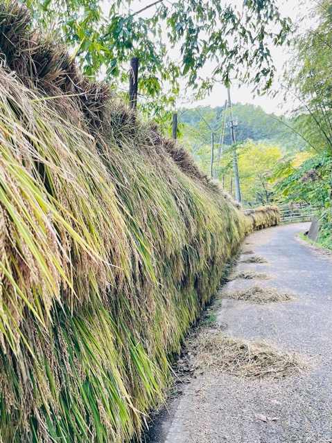 ガイアフーズの地域を支える“食”の取り組み画像3
