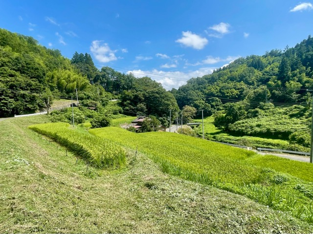 地域の“食”と“自然”を未来につなぐ:ガイアグループの取り組み画像3
