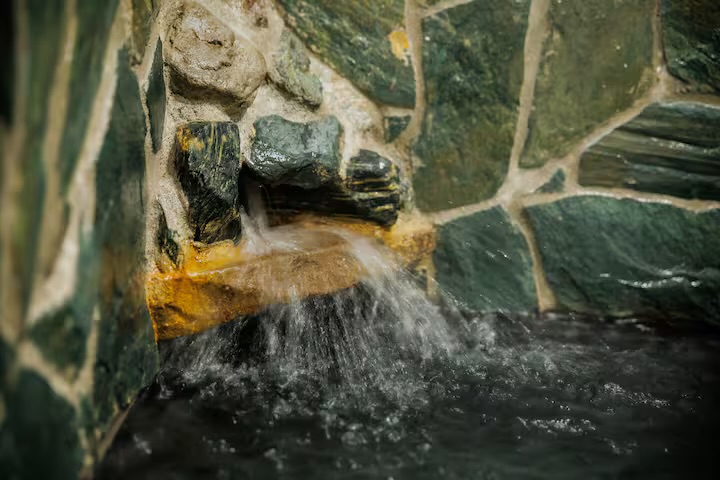 🌿✨ ガイアリゾートに新たなラインナップが加わりました ✨🌿画像1