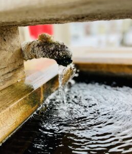 みやぎ蔵王温泉郷が人気温泉地ランキングにランクイン！ サムネイル画像