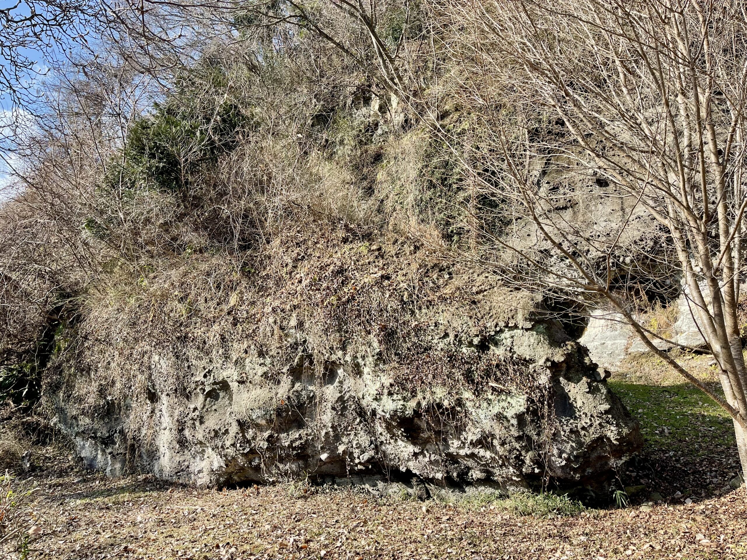 歴史と文化が息づく宮城・村田町画像5