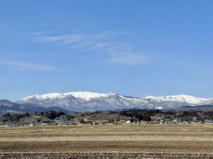 TOP サムネイル画像