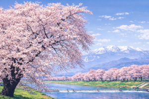 【この景色に、また会いたくなる春】 サムネイル画像