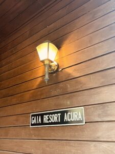 TOP サムネイル画像