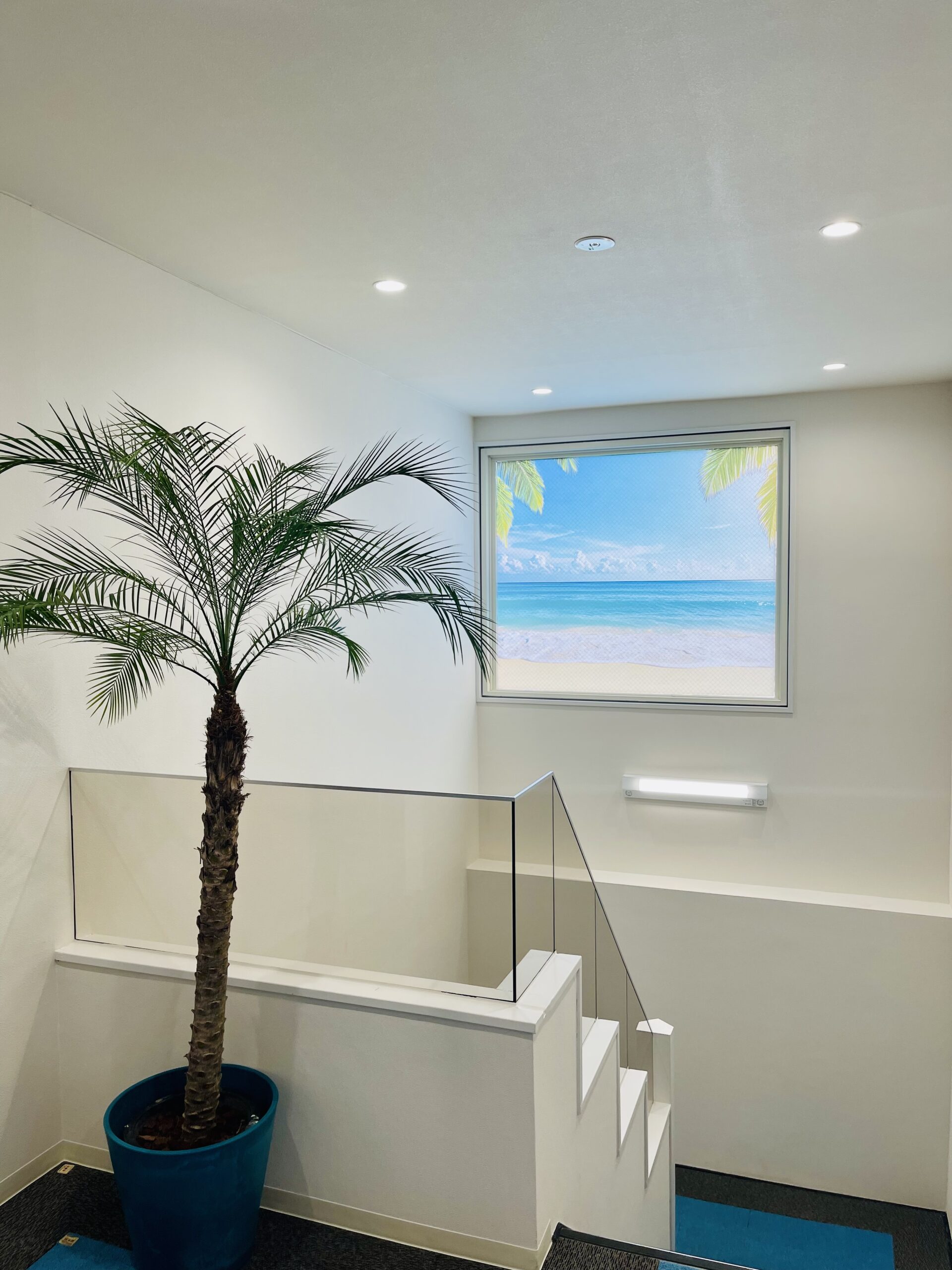 ― 海とつながるコミュニティへ ―画像3