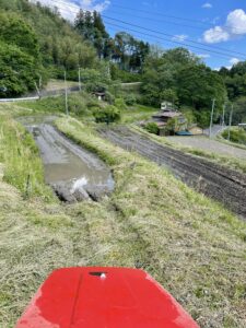 TOP サムネイル画像