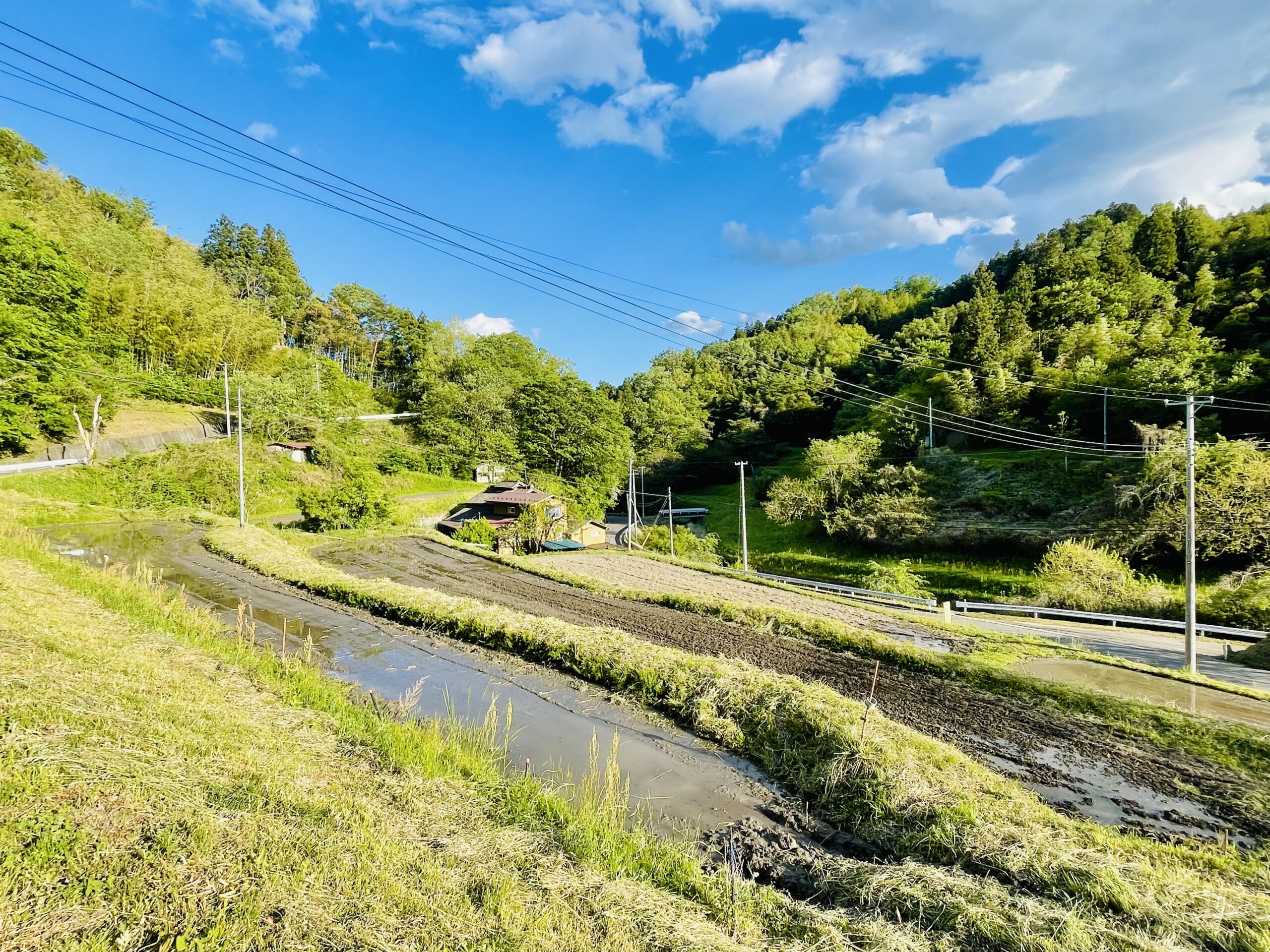 【田植えの季節がやってきました──ガイアファームが育む、食と交流、そして蔵王福祉の森構想の原点】画像2