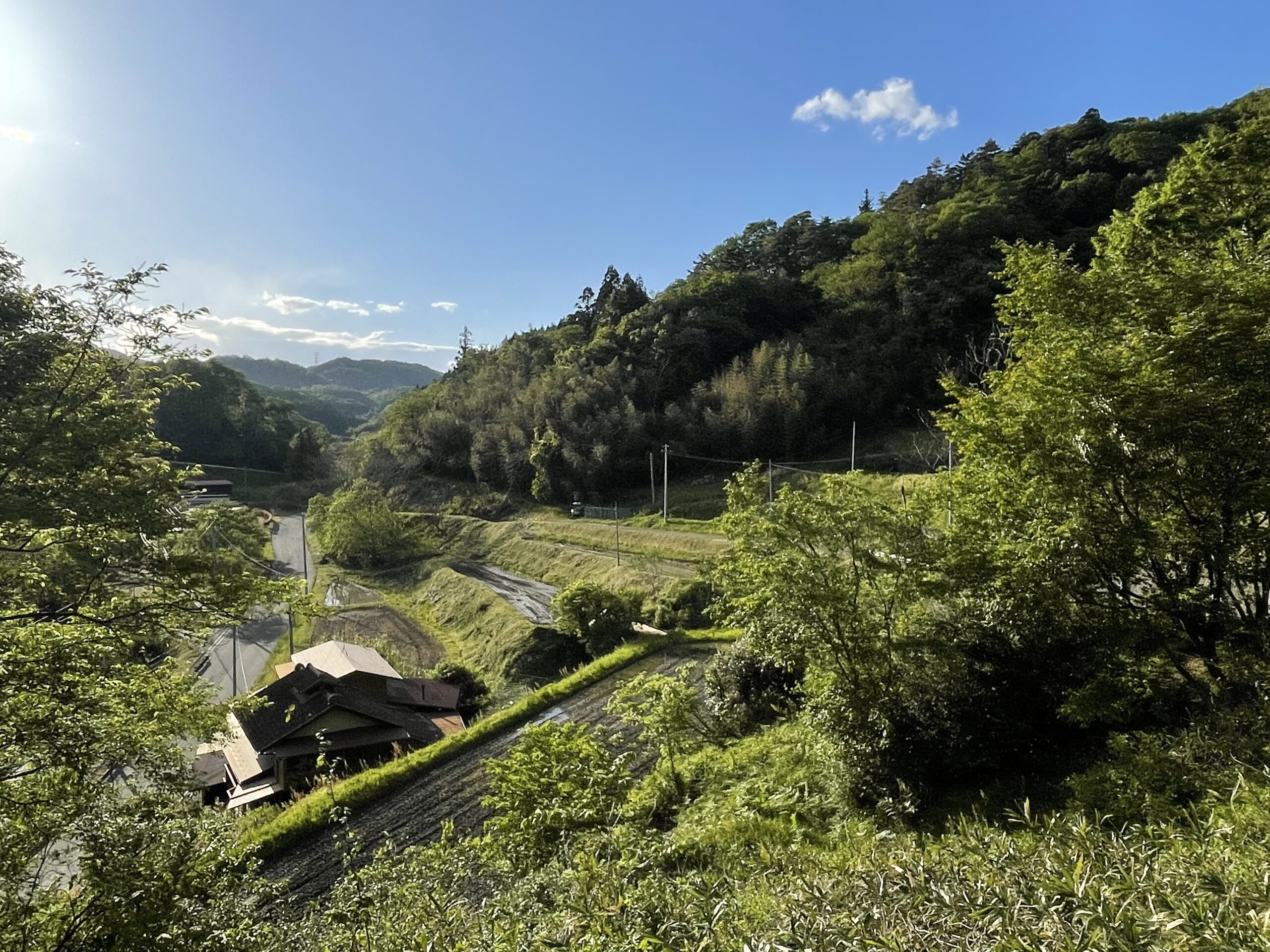 【田植えの季節がやってきました──ガイアファームが育む、食と交流、そして蔵王福祉の森構想の原点】画像1