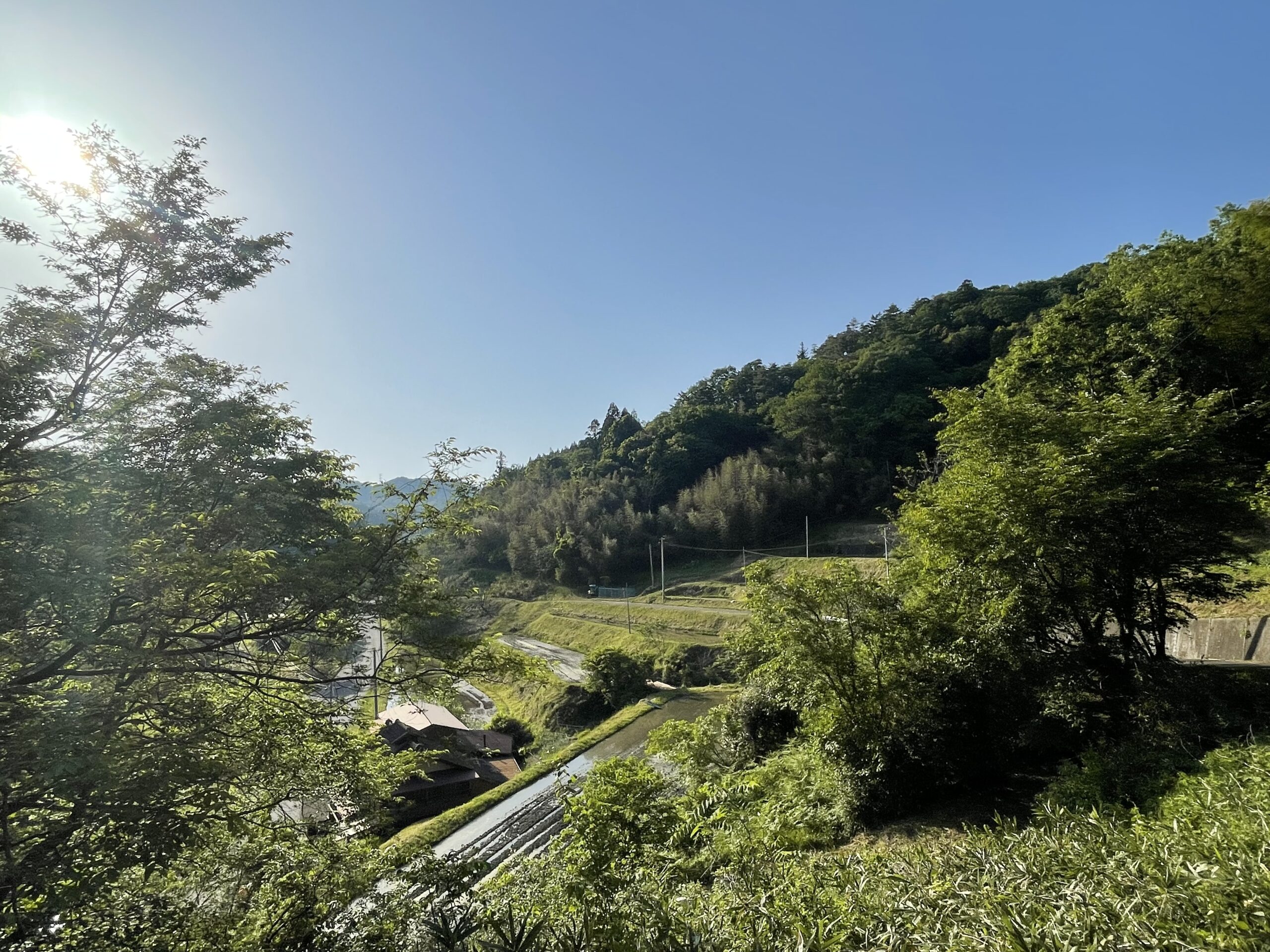 ガイアファームで今年も田植えを実施しました画像4