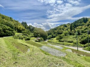 棚田を未来へつなぐ サムネイル画像