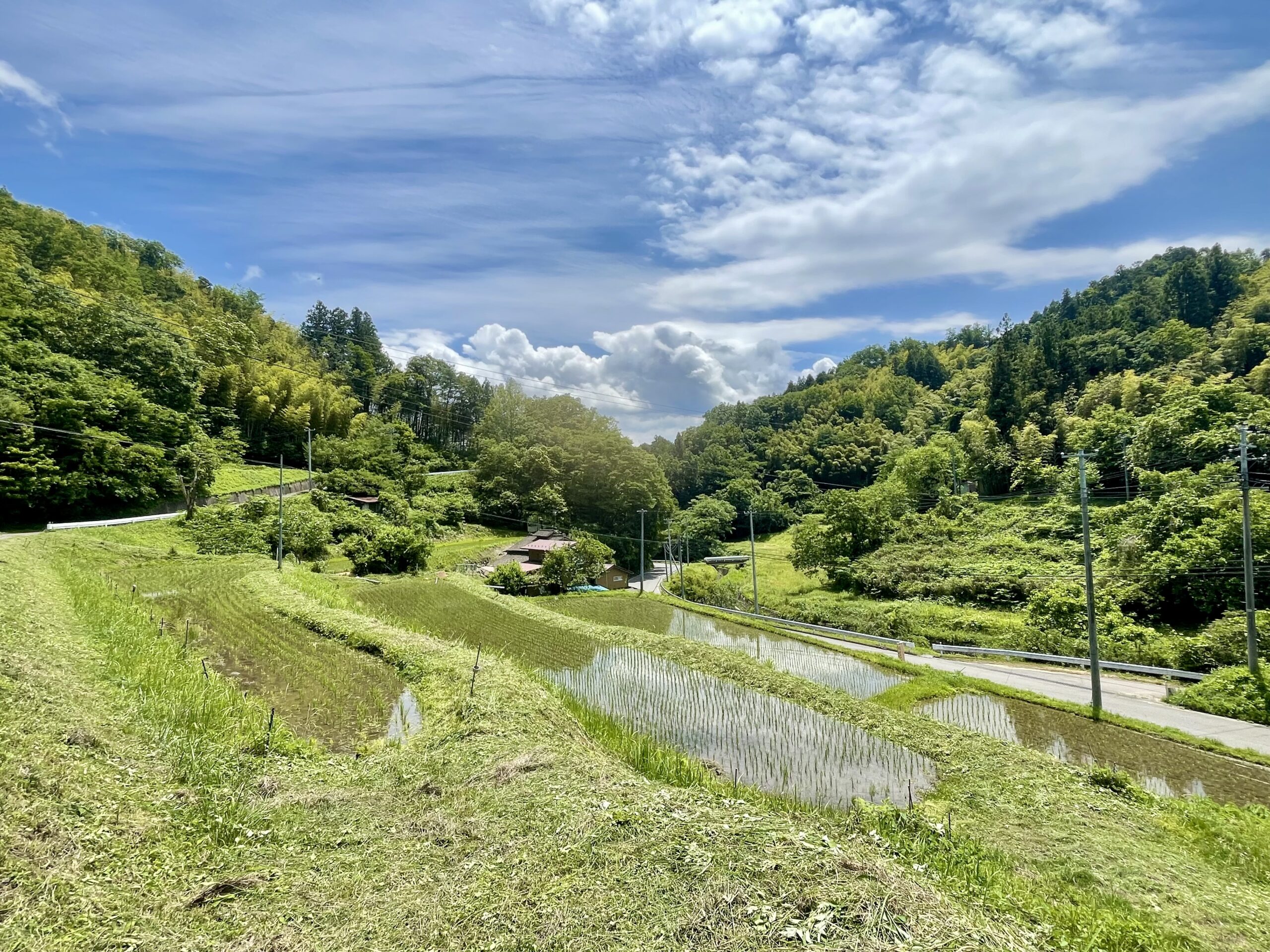 ガイアファーム棚田に広がる、小さな命たちの世界画像2
