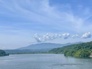 TOP サムネイル画像