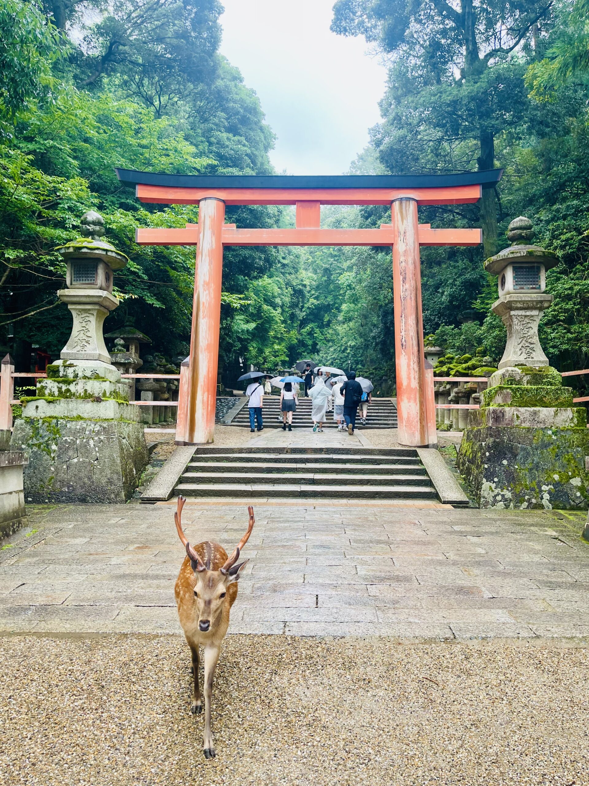〜ガイアグループ 奈良県視察のご報告〜画像3