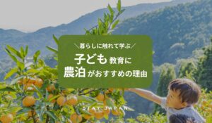 TOP サムネイル画像