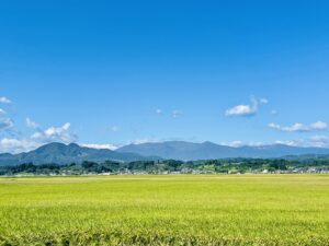 TOP サムネイル画像
