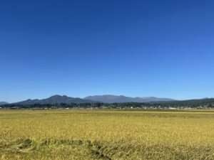 TOP サムネイル画像