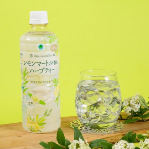 TOP サムネイル画像